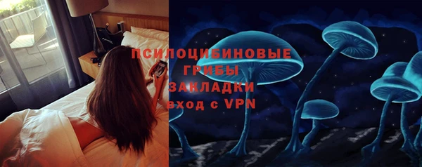 а пвп мука Алзамай