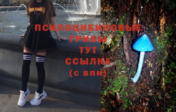mix Алексин