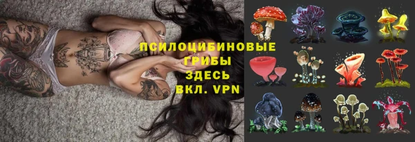 а пвп мука Алзамай