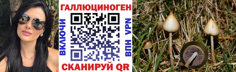 Галлюциногенные грибы GOLDEN TEACHER  где купить наркоту  Лесной 